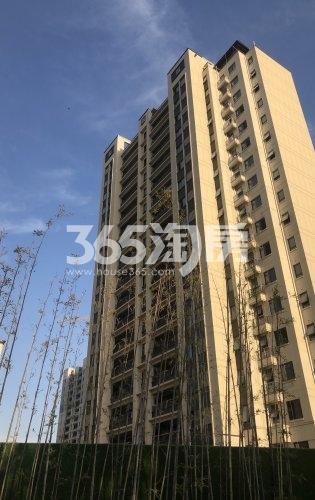 甪澄时光花园在建高层实景(5.11)
