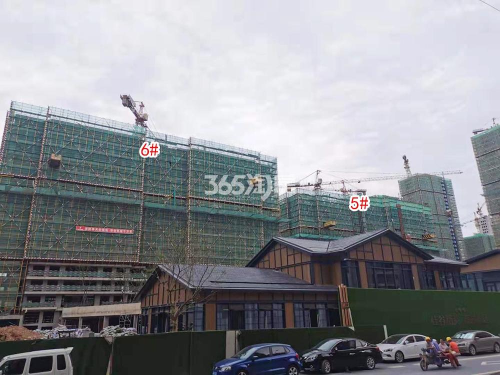 越秀西海岸实景图（2019.07）