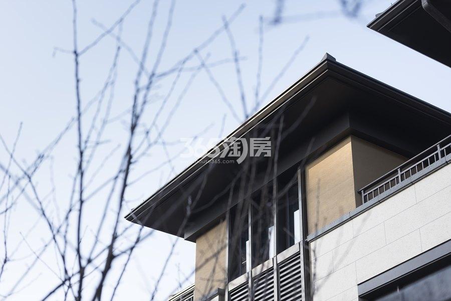君望花苑售楼处外景实景图 2018年1月摄