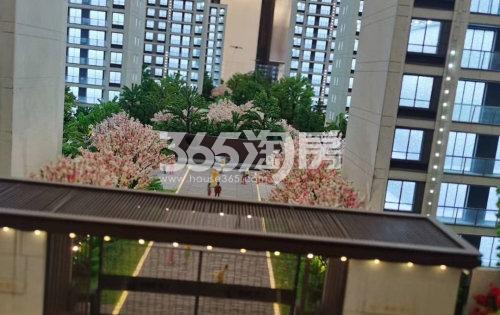 荣盛·甫上项目沙盘细节实景（5.20）