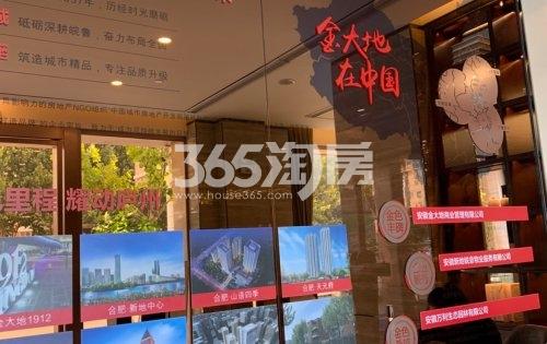 金大地项目 品牌分布图（2019.11.13）