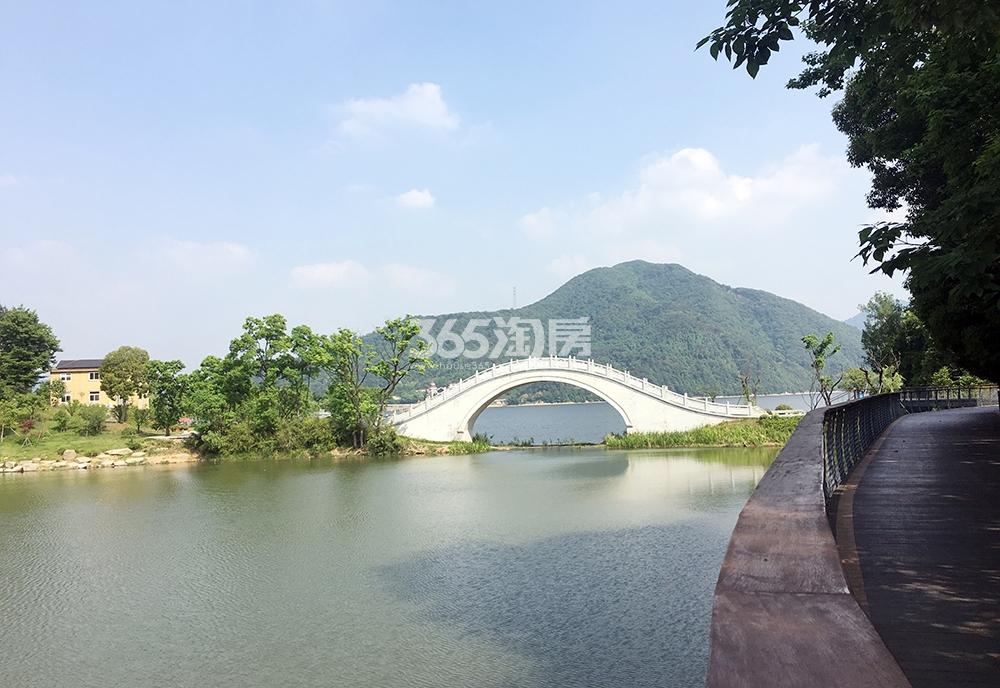 青山湖实景