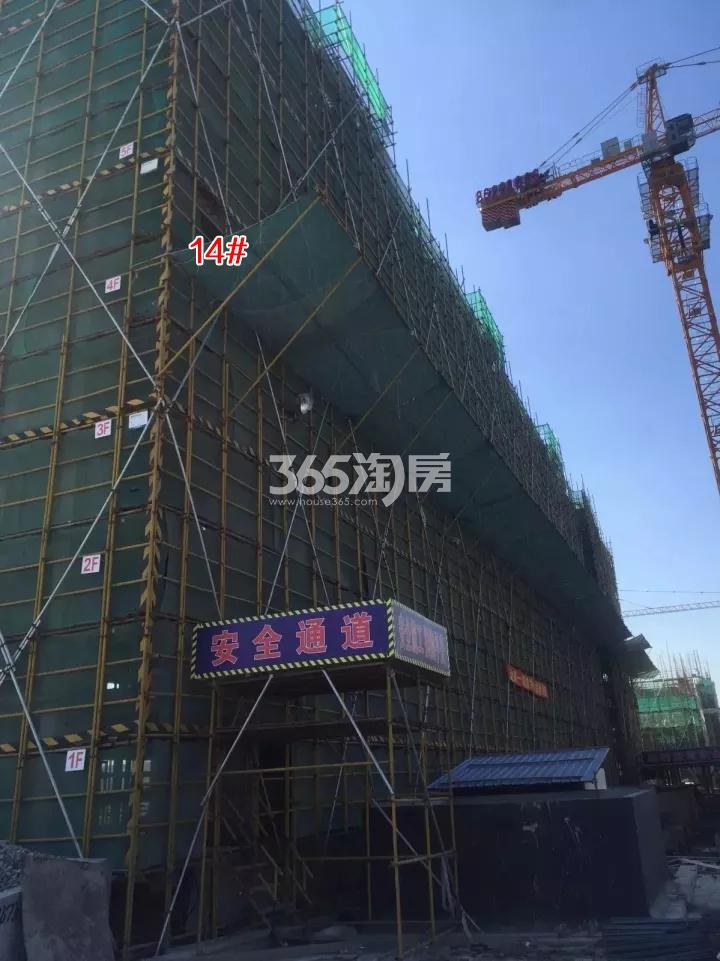 璞丽东方14号楼施工进程图（2017.10）	