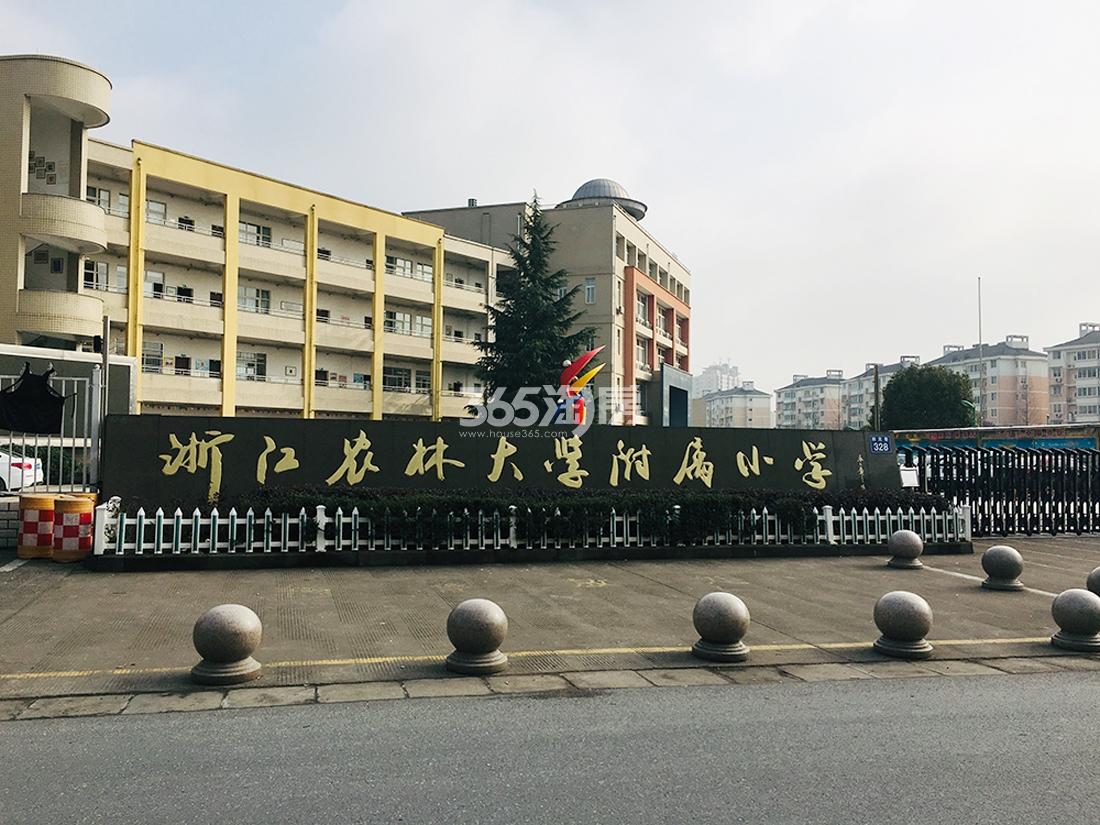 浙江农林大学附属小学（2019.01）