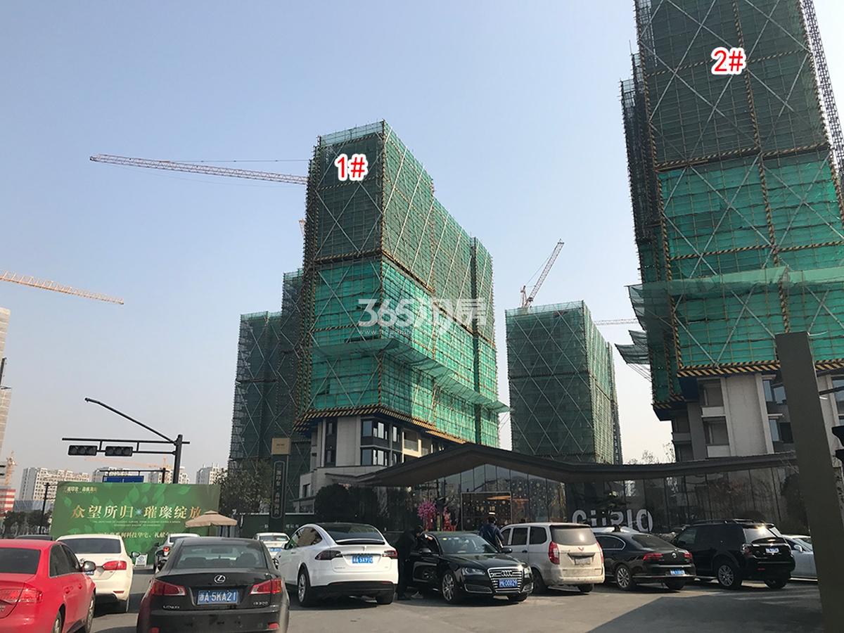 三湘印象森林海尚工程进展（2019.01）