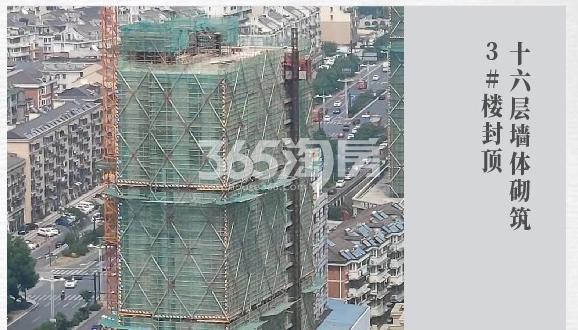 美晟府8月实景图