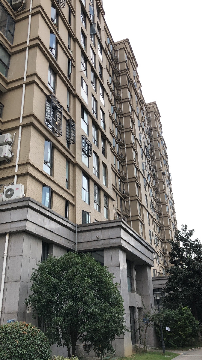 托乐嘉吉邻居