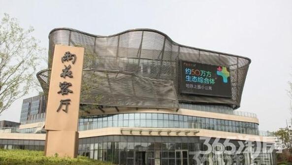 雨花客厅 一号线天隆寺地铁站旁 精装公寓 不限购不限贷