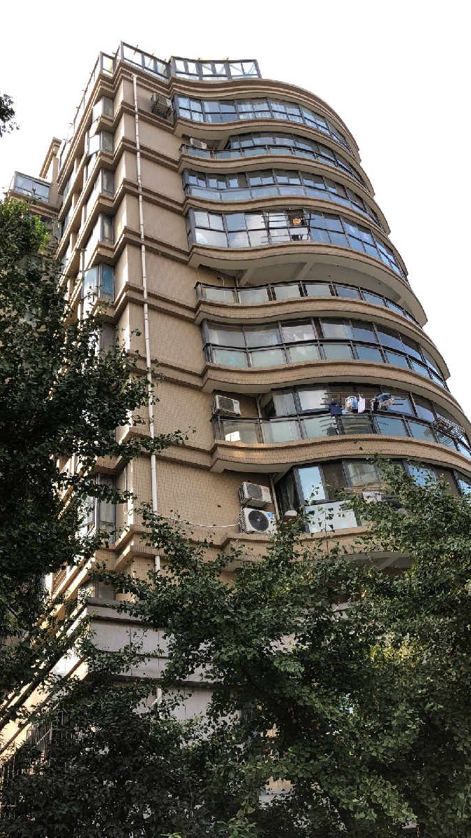 托乐嘉吉邻居