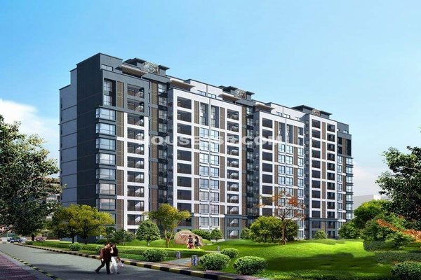 巡展楼盘③:金泰新理城