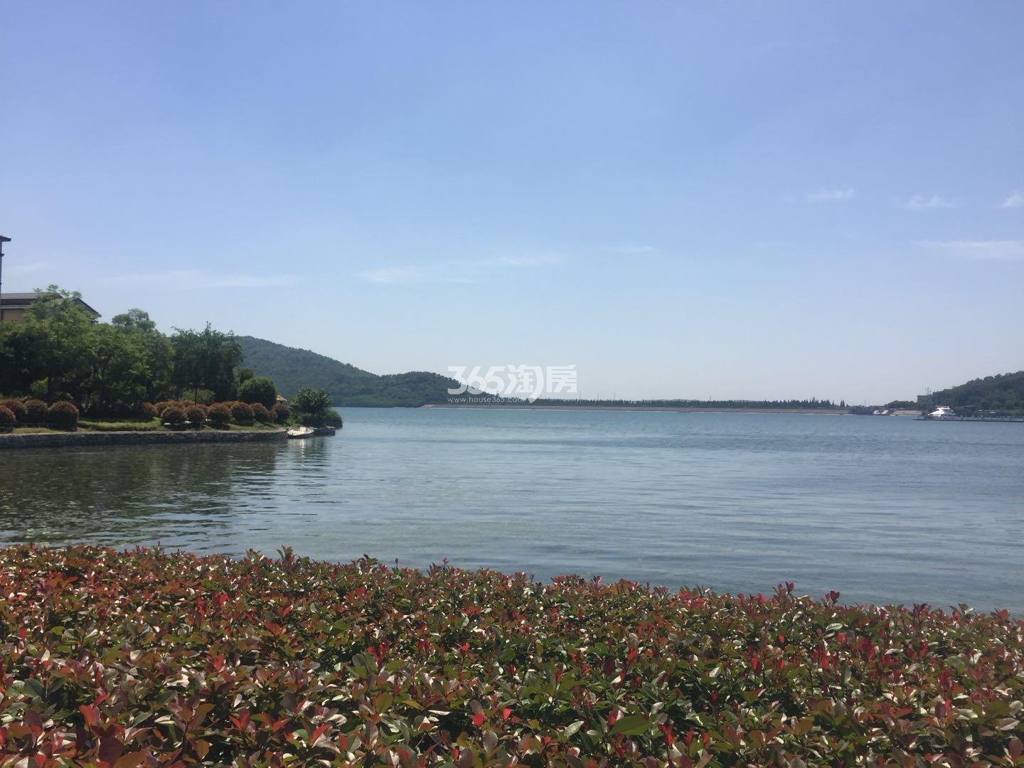 金牛湖半岛周边环境(5.9)