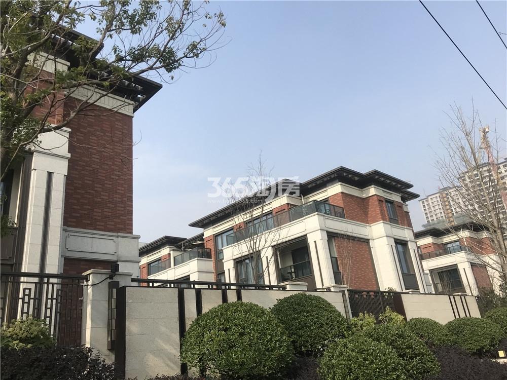 2020年5月悦东方臻园实景图_杭州悦东方臻园_杭州新房网_365淘房