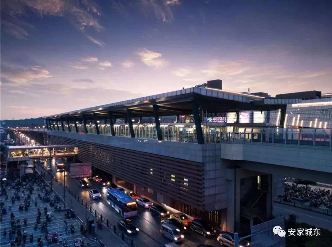 未来的马群你将高攀不起!