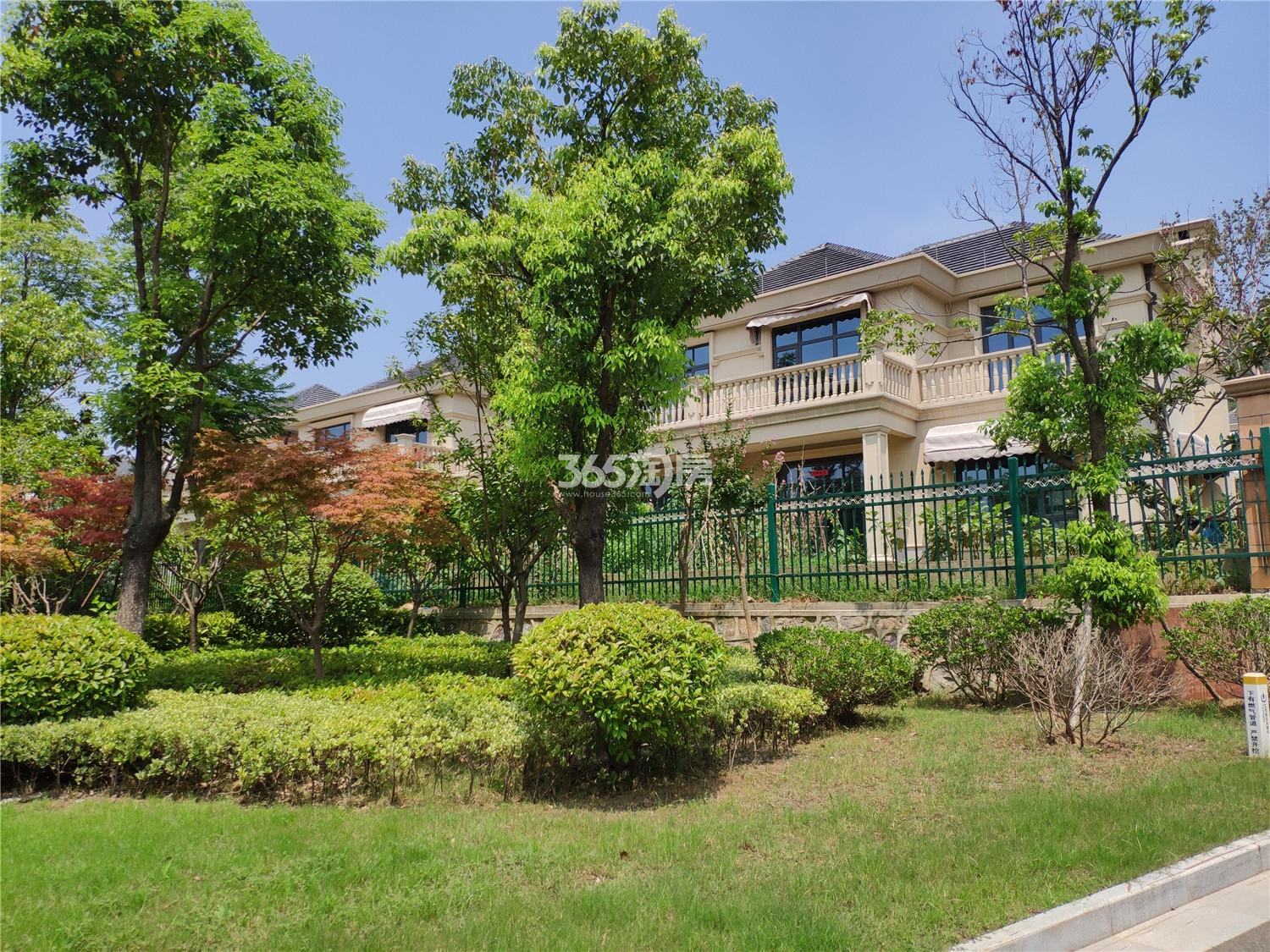 锦隆花园御山墅