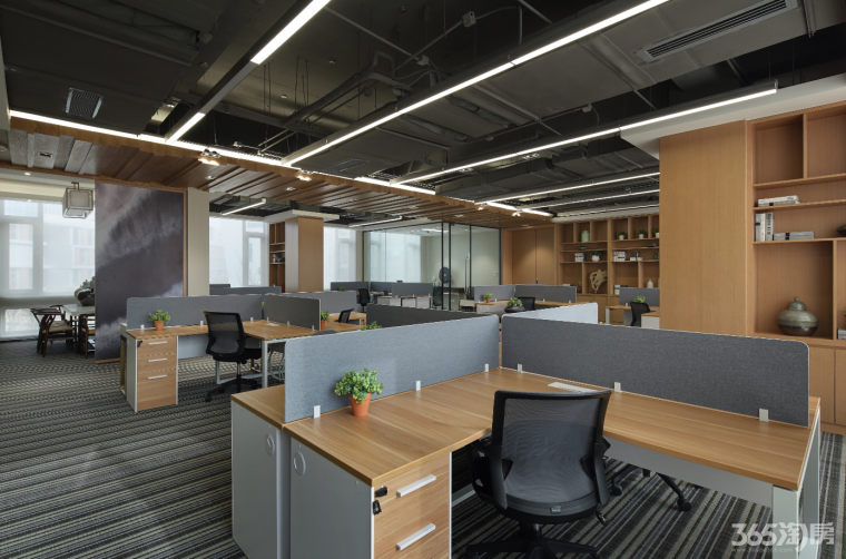 独栋办公 独立电梯 独立大堂 新古典学院派 江宁科创园