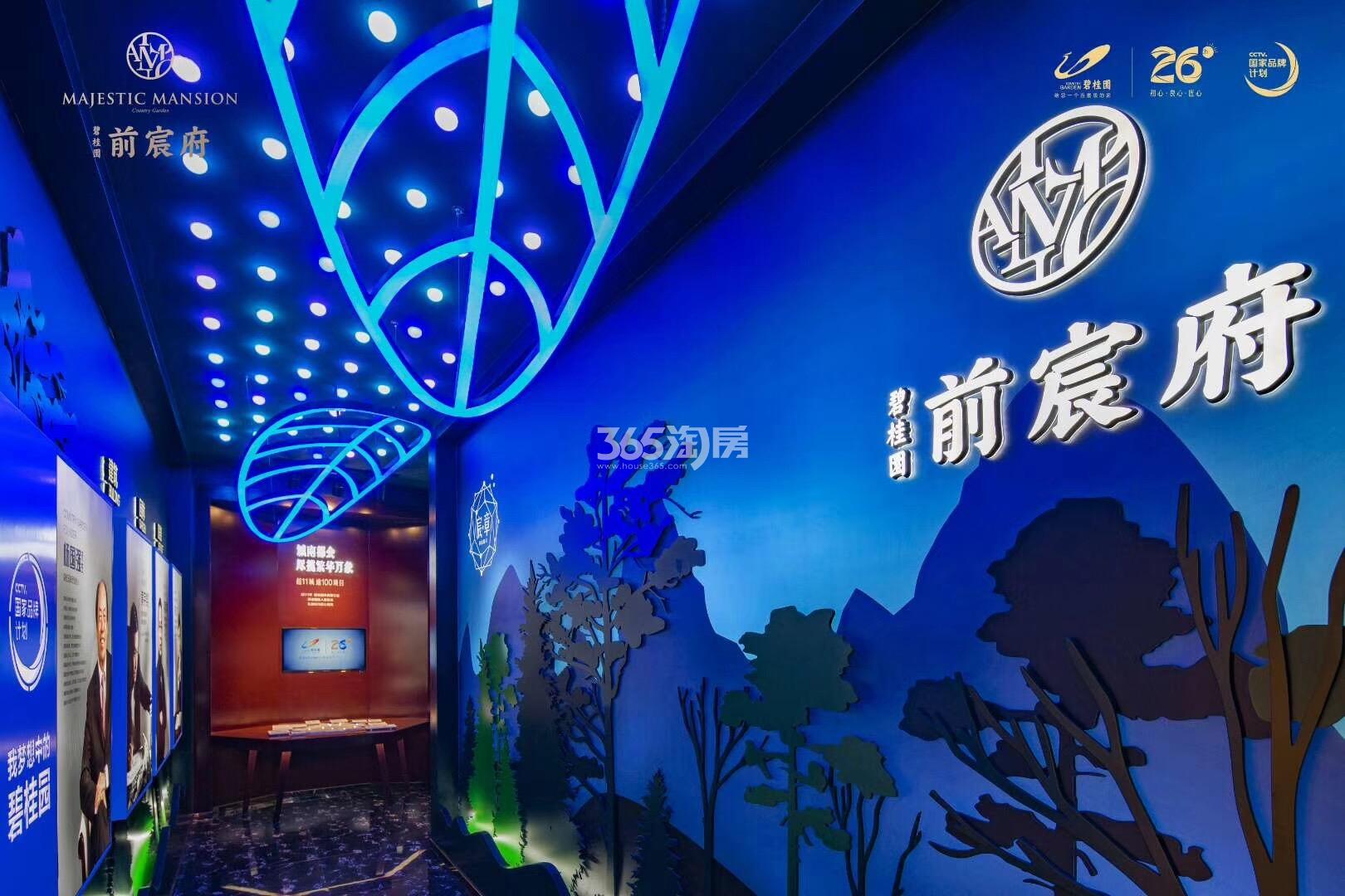 碧桂园前宸府品牌墙实景图 2018年6月摄