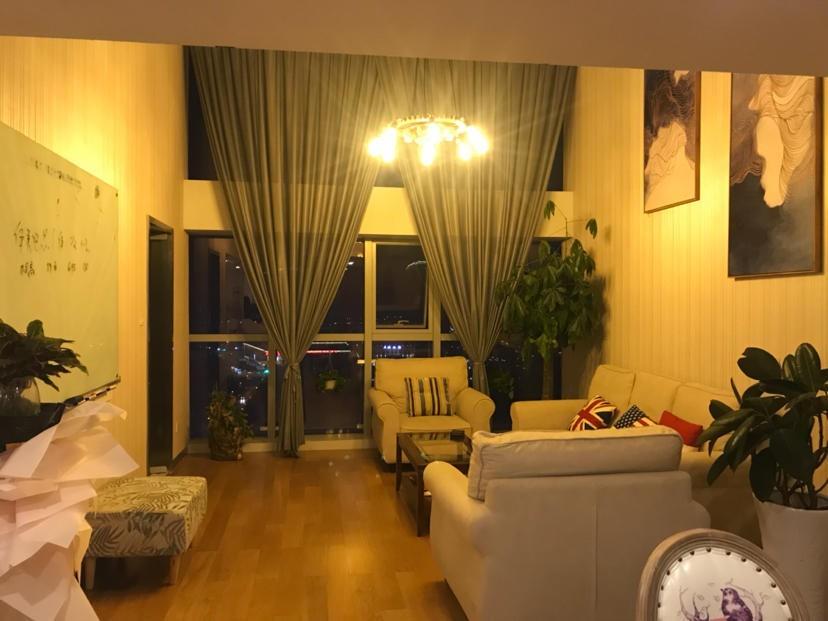 奥体东 缤润汇 精装复式高端公寓 酒店式管理 边户落地窗 可办公